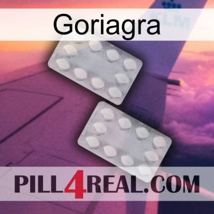 Goriagra 17